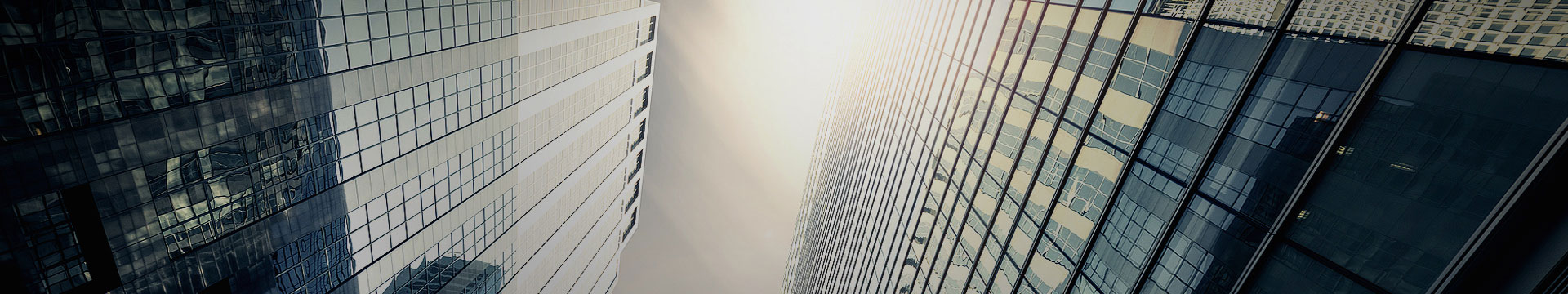 CCD全自動攝像定位切割機