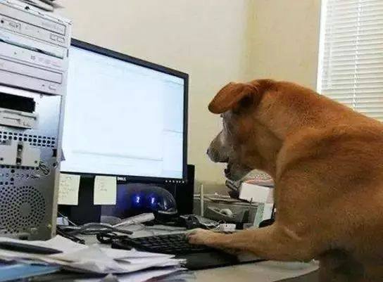 深圳激光打標(biāo)機(jī)民升激光開工了